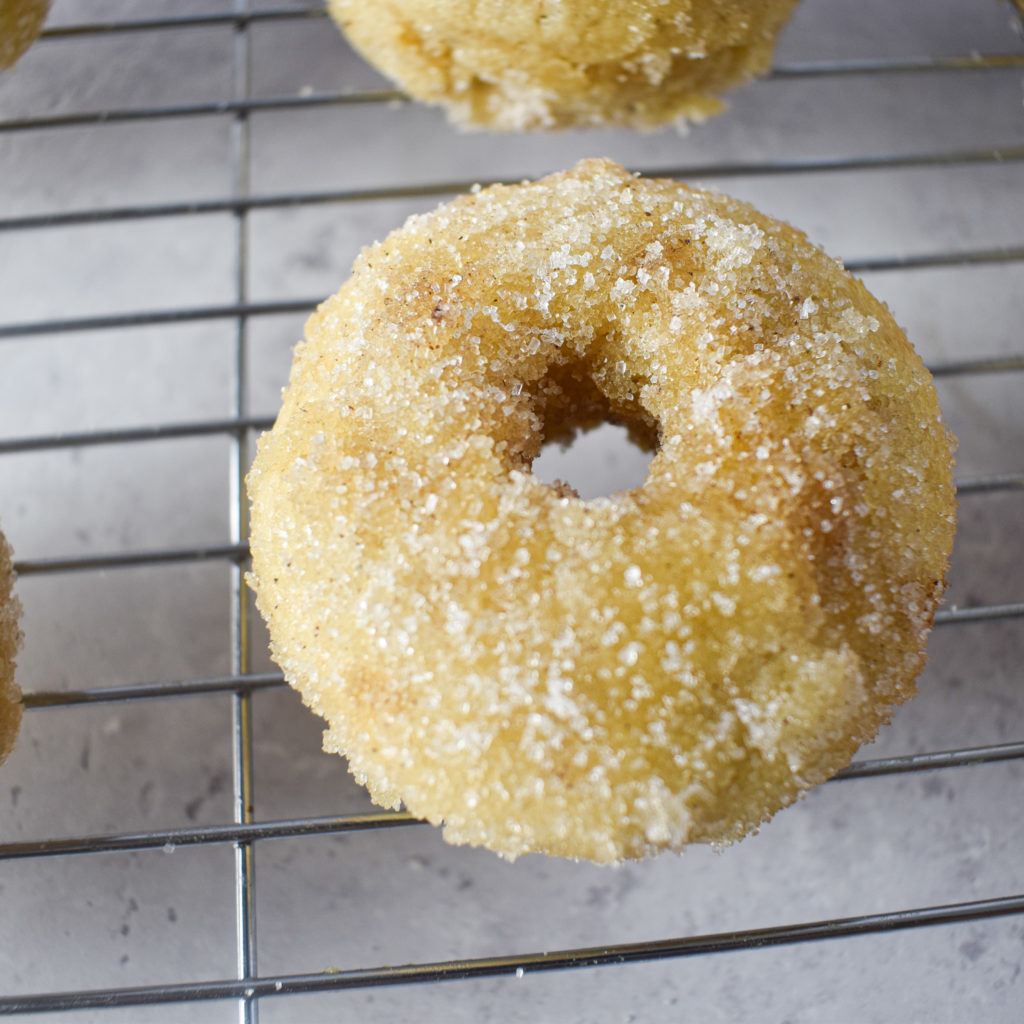 Baked Cinnamon Doughnuts