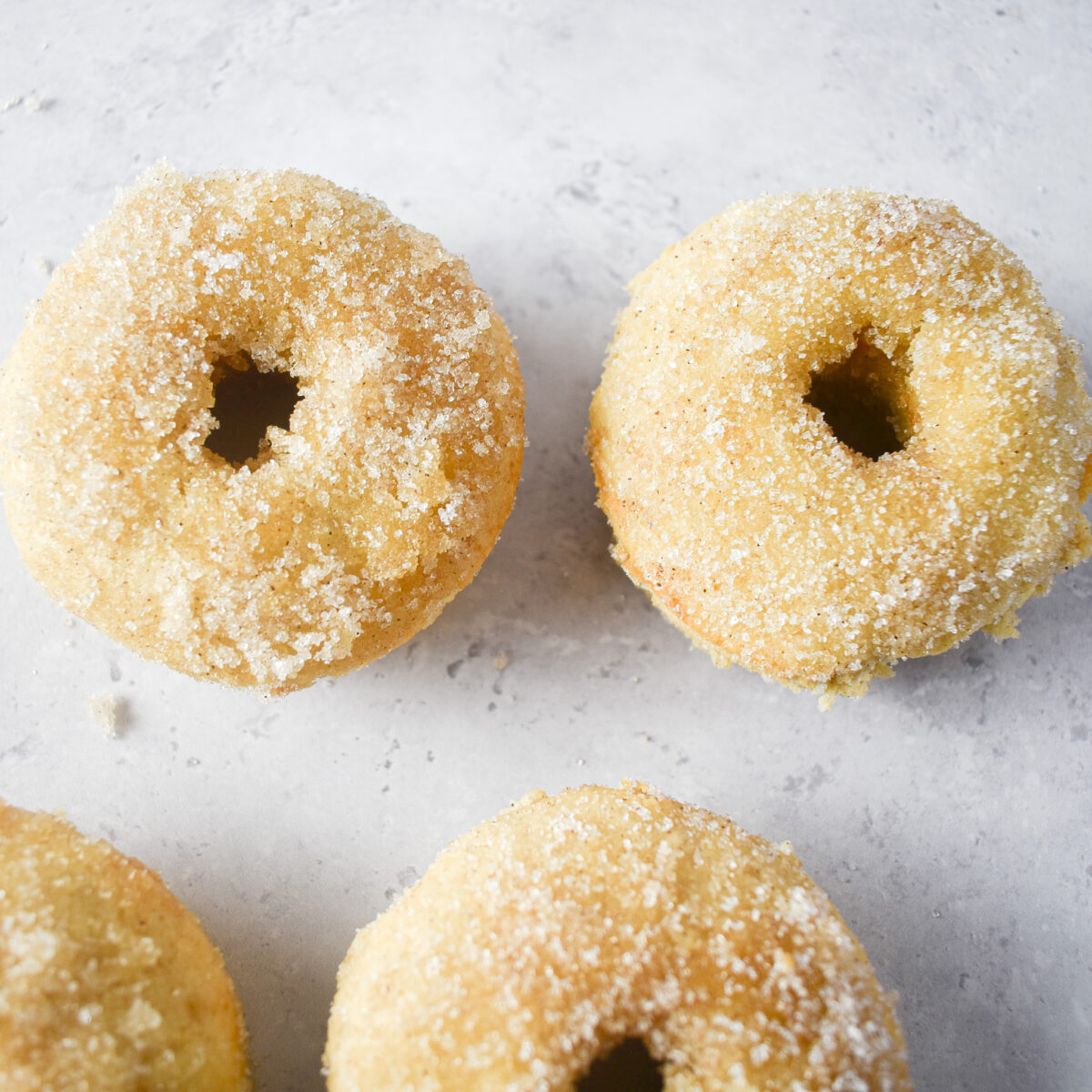 Baked Cinnamon Doughnuts