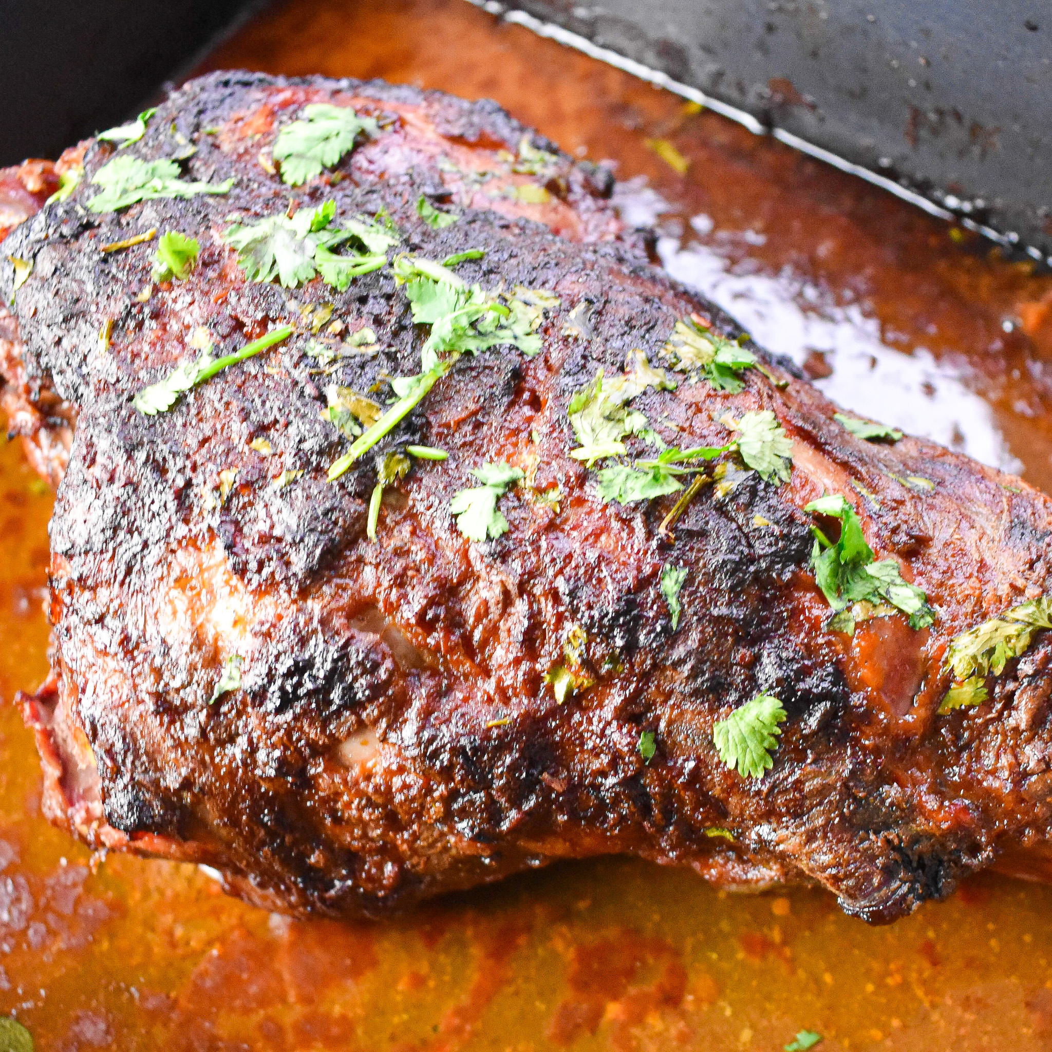 harissa lamb